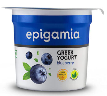 Epigamia Low Fat Greek Yogurt Blueberry