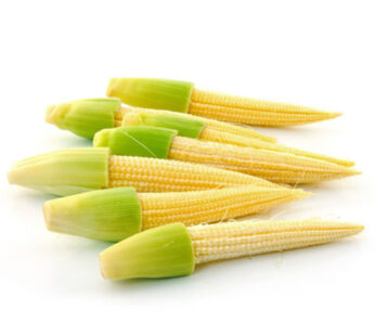 Fresh Baby Corn