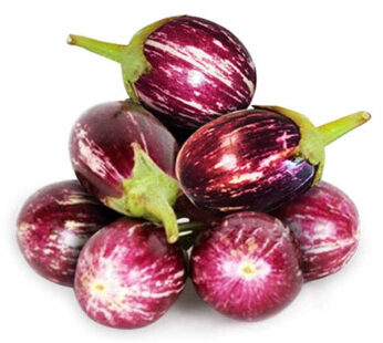 Fresh Brinjal Round (Kateri Wangi)