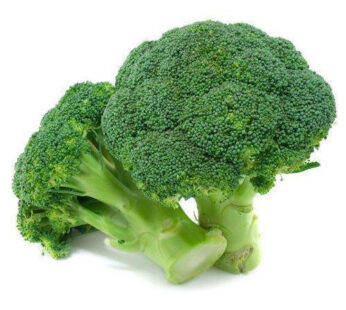 Fresh Broccoli