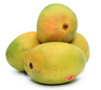 Fresh Mango South Alphonso