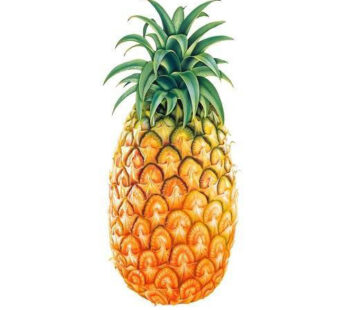 Fresh Pineapple (Ananas) : 1 Piece (Approx. 775gm – 850gm)