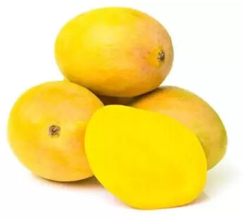 Ratnagiri Alphonso Mango : 6 Pieces (Approx. 220 gm – 230 gm