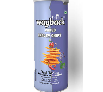 Wayback Baked Barley Chips- Desi Tadka