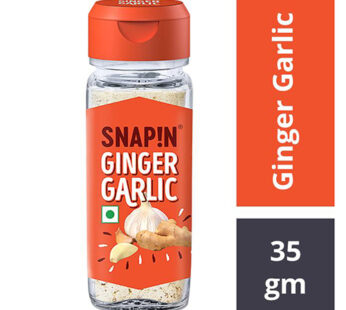 Snapin Ginger Garlic Mix Seasoning